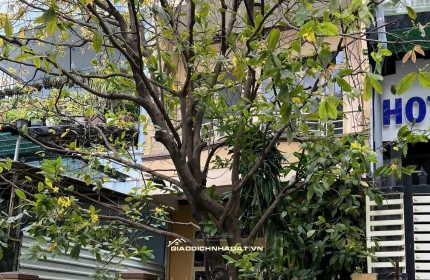 Bán nhà 2 tầng hẻm Biệt Thự Nha Trang, 12 tỷ sở hữu hẻm khu phố Tây Nha Trang